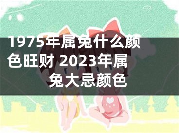 1975年属兔什么颜色旺财 2023年属兔大忌颜色