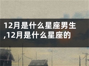 12月是什么星座男生,12月是什么星座的