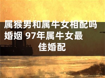 属猴男和属牛女相配吗婚姻 97年属牛女最佳婚配