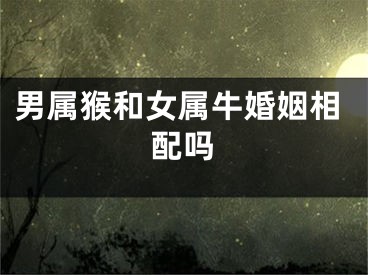 男属猴和女属牛婚姻相配吗