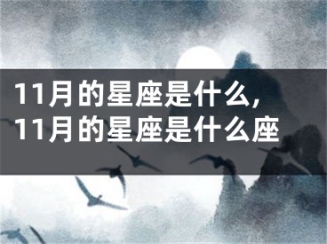 11月的星座是什么,11月的星座是什么座