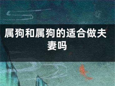 属狗和属狗的适合做夫妻吗