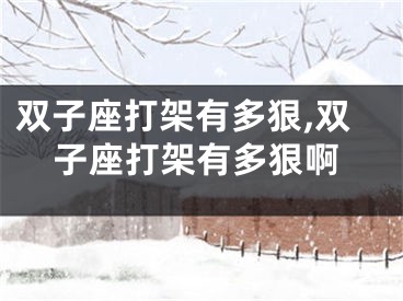 双子座打架有多狠,双子座打架有多狠啊