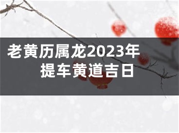 老黄历属龙2023年提车黄道吉日