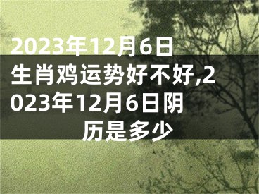 2023年12月6日生肖鸡运势好不好,2023年12月6日阴历是多少