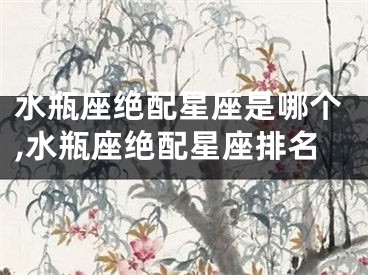 水瓶座绝配星座是哪个,水瓶座绝配星座排名