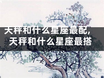 天秤和什么星座最配,天秤和什么星座最搭