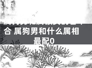 属狗男和属猴女的合不合 属狗男和什么属相最配0
