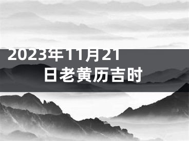 2023年11月21日老黄历吉时