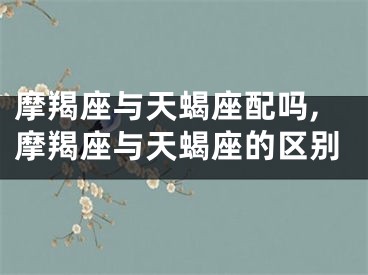 摩羯座与天蝎座配吗,摩羯座与天蝎座的区别
