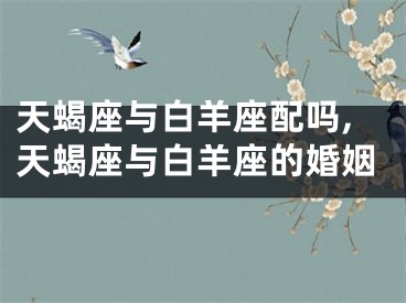 天蝎座与白羊座配吗,天蝎座与白羊座的婚姻