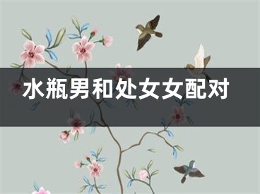 水瓶男和处女女配对