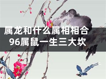 属龙和什么属相相合 96属鼠一生三大坎