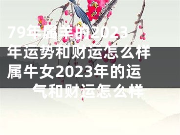 79年属羊的2023年运势和财运怎么样 属牛女2023年的运气和财运怎么样