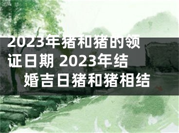 2023年猪和猪的领证日期 2023年结婚吉日猪和猪相结