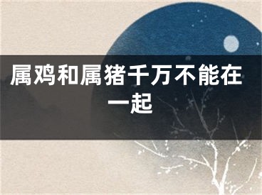 属鸡和属猪千万不能在一起