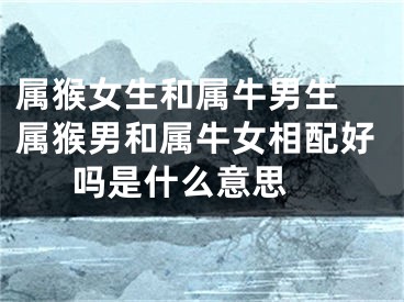 属猴女生和属牛男生 属猴男和属牛女相配好吗是什么意思 