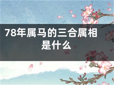 78年属马的三合属相是什么