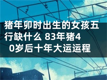 猪年卯时出生的女孩五行缺什么 83年猪40岁后十年大运运程