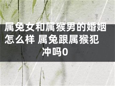 属兔女和属猴男的婚姻怎么样 属兔跟属猴犯冲吗0