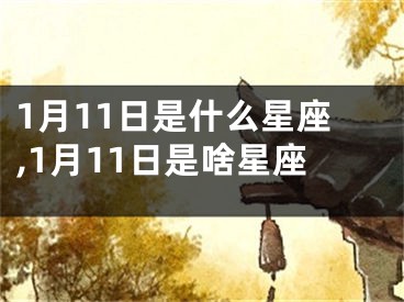 1月11日是什么星座,1月11日是啥星座