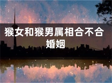 猴女和猴男属相合不合婚姻