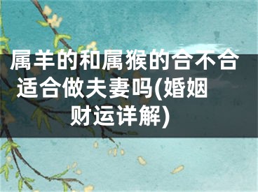 属羊的和属猴的合不合 适合做夫妻吗(婚姻财运详解)