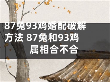 87兔93鸡婚配破解方法 87兔和93鸡属相合不合