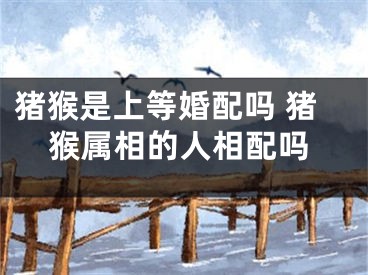 猪猴是上等婚配吗 猪猴属相的人相配吗