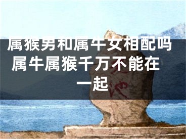 属猴男和属牛女相配吗 属牛属猴千万不能在一起