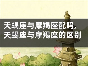 天蝎座与摩羯座配吗,天蝎座与摩羯座的区别