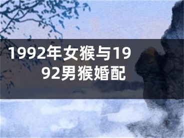 1992年女猴与1992男猴婚配