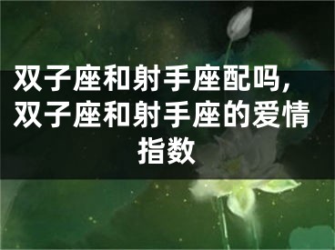 双子座和射手座配吗,双子座和射手座的爱情指数