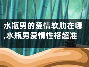 水瓶男的爱情软肋在哪,水瓶男爱情性格超准
