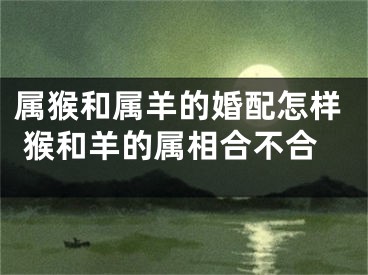属猴和属羊的婚配怎样 猴和羊的属相合不合