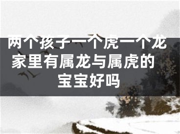两个孩子一个虎一个龙 家里有属龙与属虎的宝宝好吗