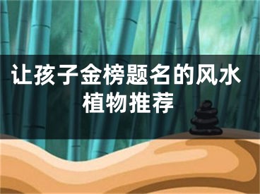 让孩子金榜题名的风水植物推荐