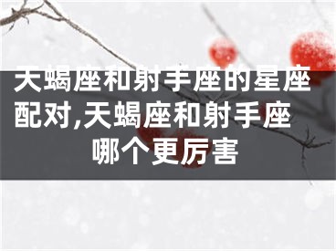 天蝎座和射手座的星座配对,天蝎座和射手座哪个更厉害