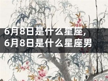 6月8日是什么星座,6月8日是什么星座男