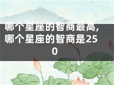 哪个星座的智商最高,哪个星座的智商是250