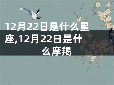 12月22日是什么星座,12月22日是什么摩羯