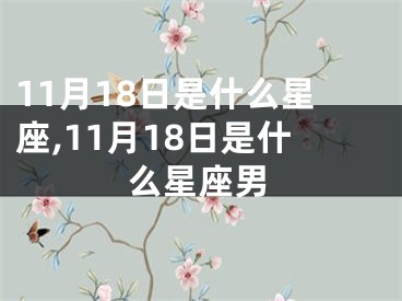 11月18日是什么星座,11月18日是什么星座男
