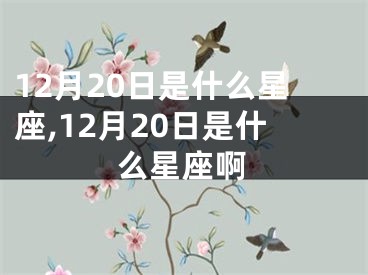12月20日是什么星座,12月20日是什么星座啊