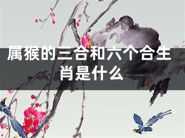 属猴的三合和六个合生肖是什么