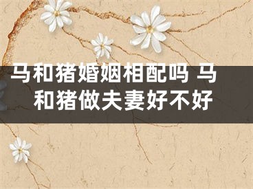 马和猪婚姻相配吗 马和猪做夫妻好不好