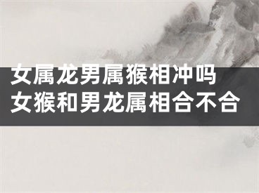 女属龙男属猴相冲吗 女猴和男龙属相合不合