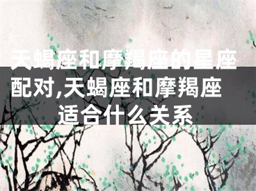 天蝎座和摩羯座的星座配对,天蝎座和摩羯座适合什么关系