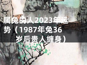 属兔的人2023年运势（1987年兔36岁后贵人缠身）