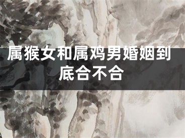 属猴女和属鸡男婚姻到底合不合