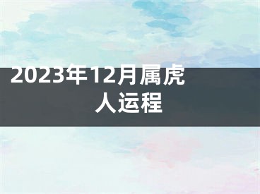 2023年12月属虎人运程